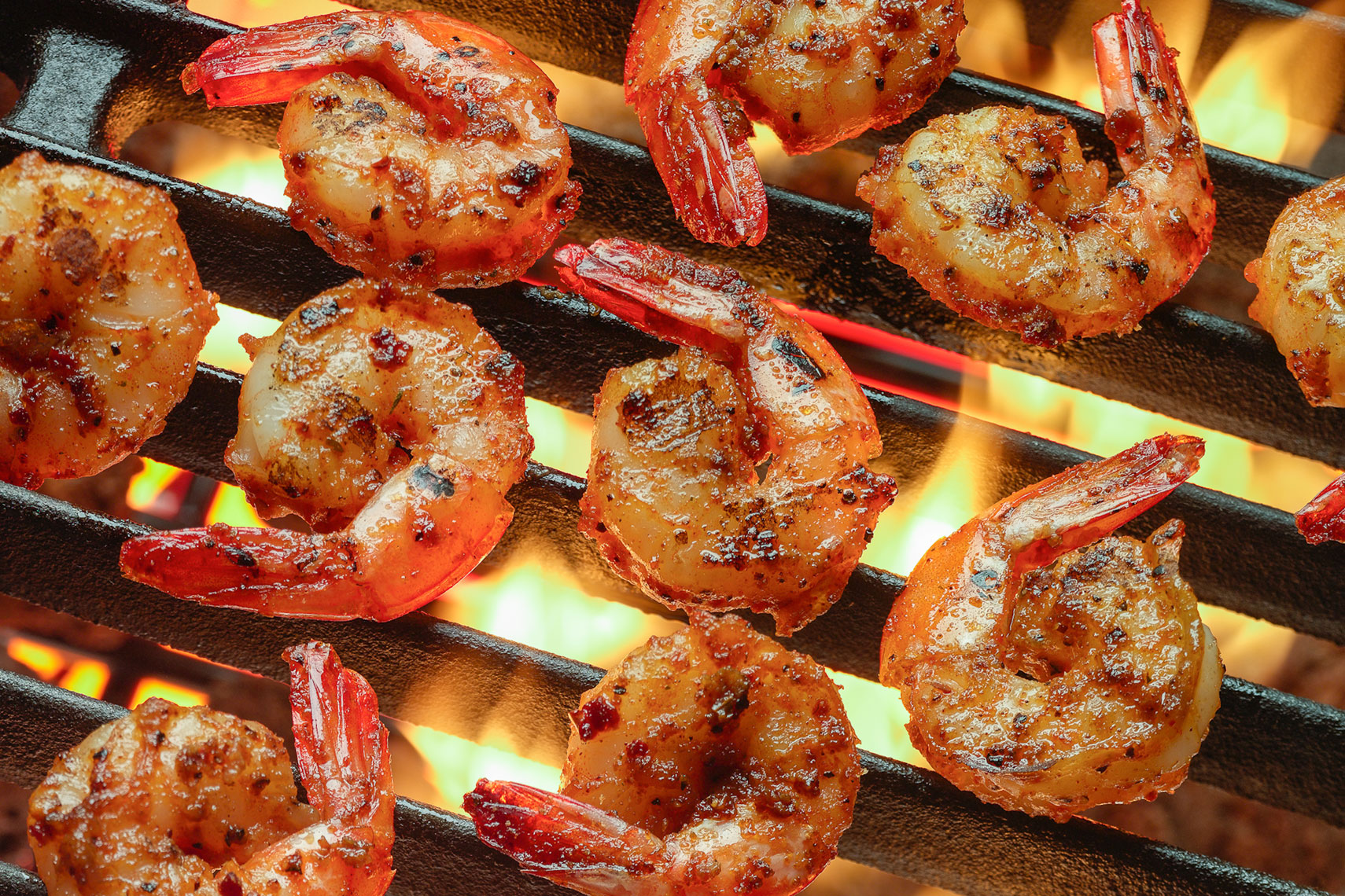 Grilled Shrimp food photo